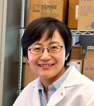 photo of Jiji Xie, PhD
