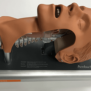 animated dummy head and neck for training.