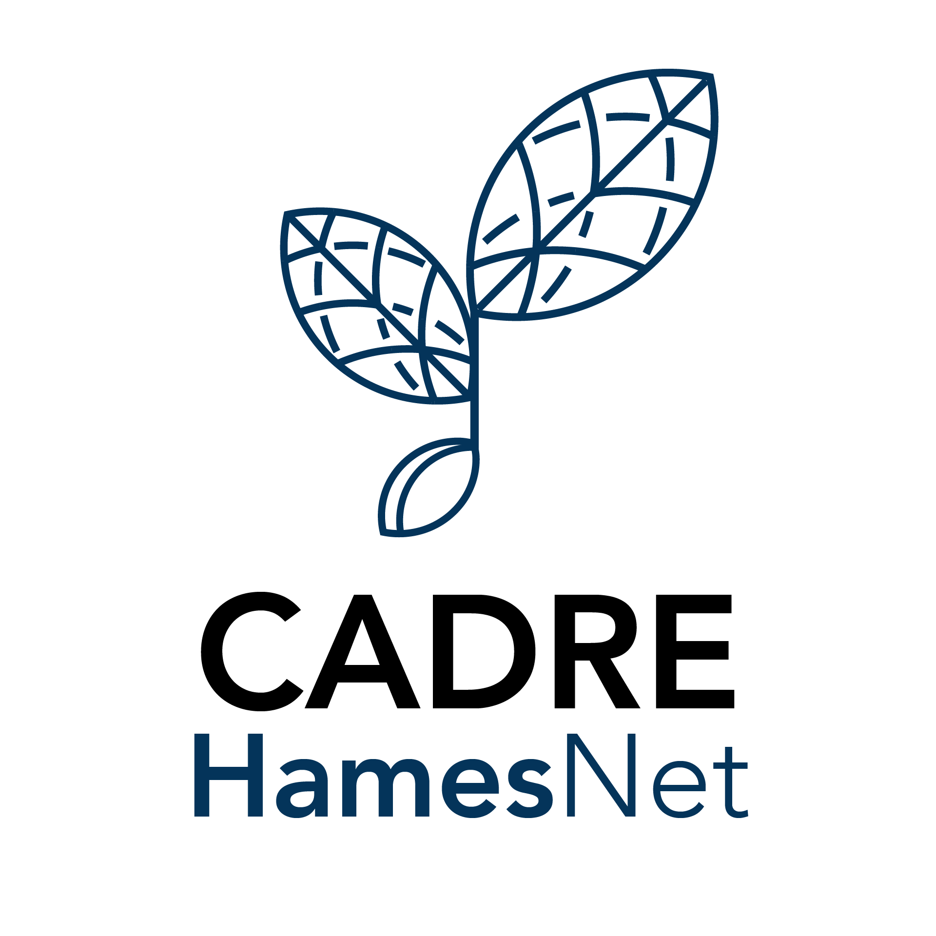 cadre hamsnet leaf