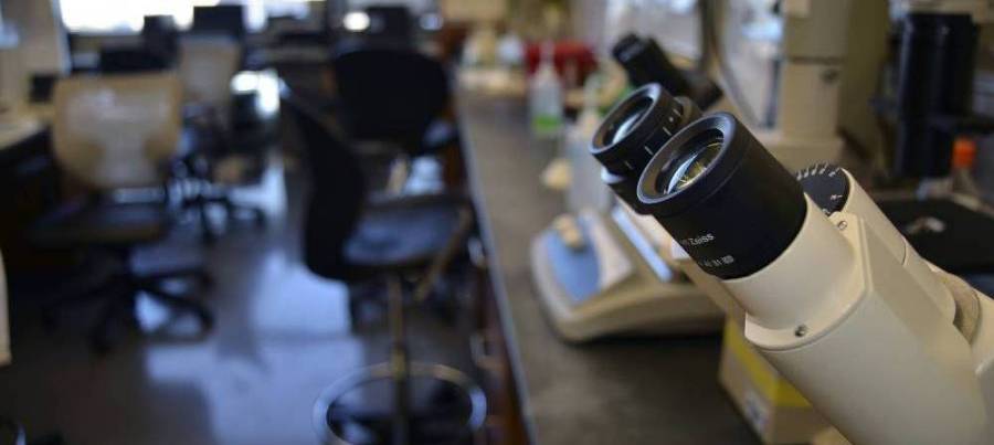 microscope